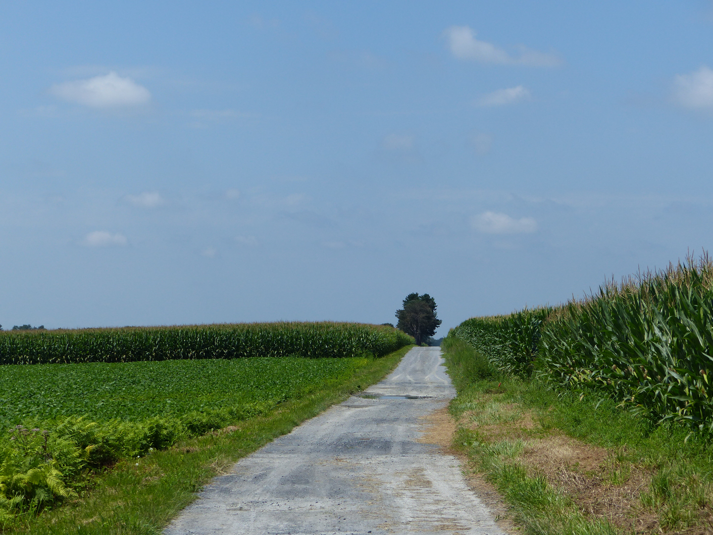 Ouillon : chemin des bergers à cheval, Ouillon - photo 4