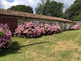 Maison de Campagne à Diénné, Dienné - photo 12