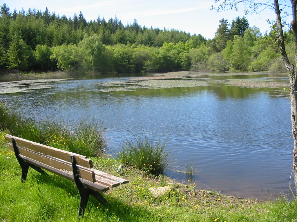 VTT - Gravel - A travers champs et forêts - 28 km - circuit 61, Aix - photo 3