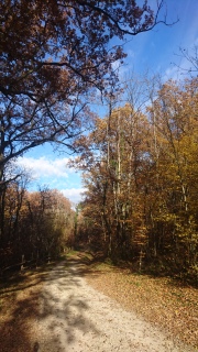 Boucle autour de Fossemagne, Fossemagne