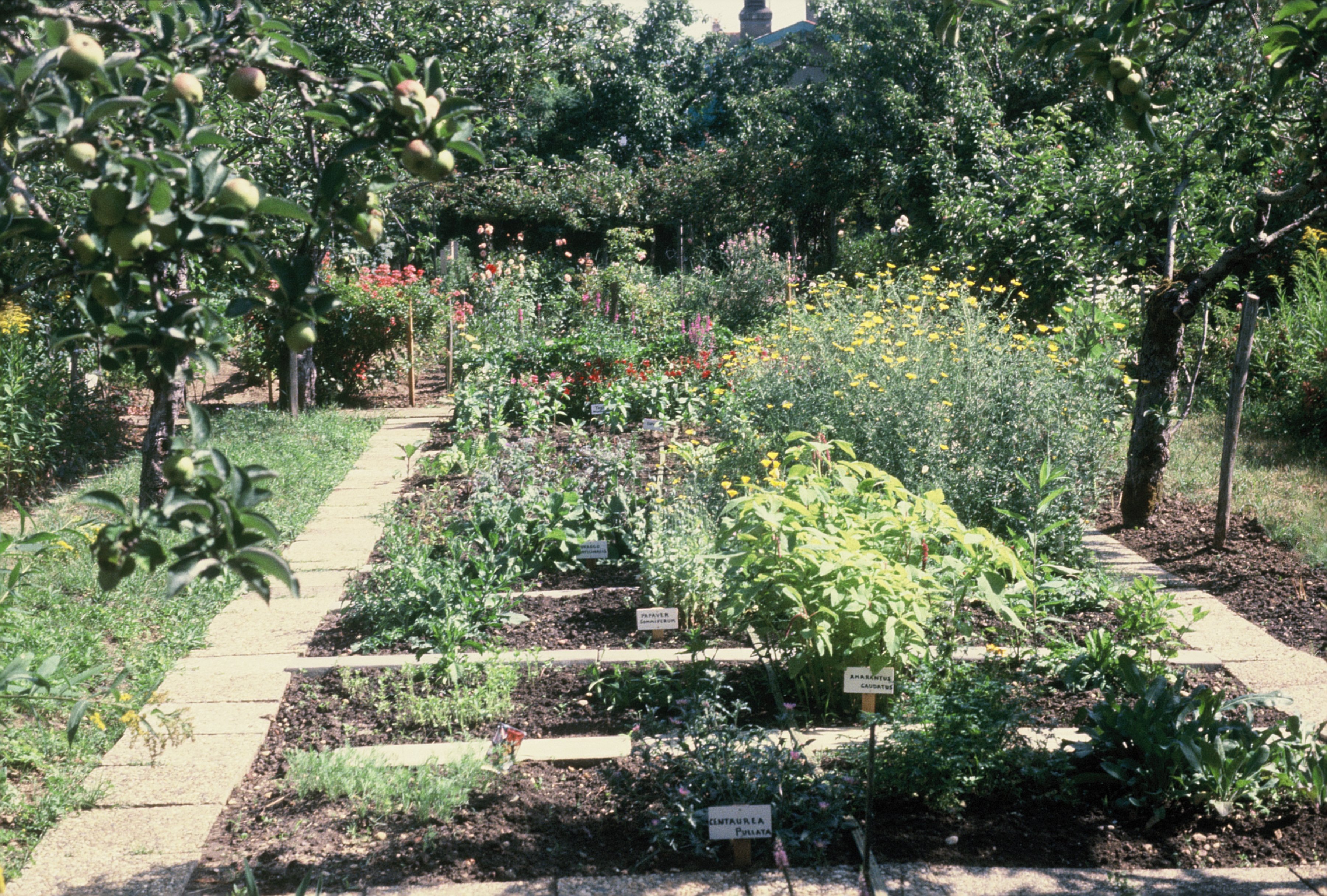 Mongenan fête les Rendez-vous aux jardins, Portets - photo 2