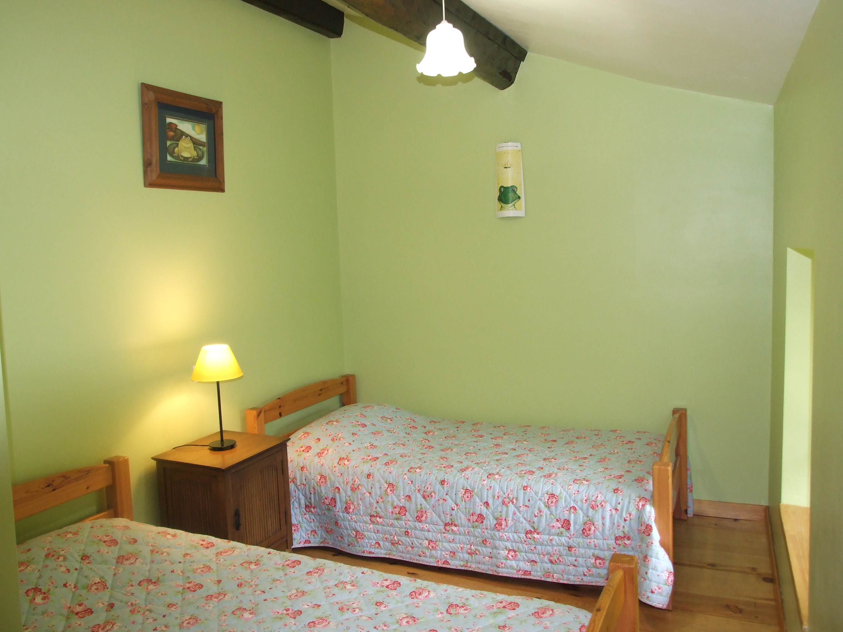 Les Sabots Bleus - L'Anguille, Arçais