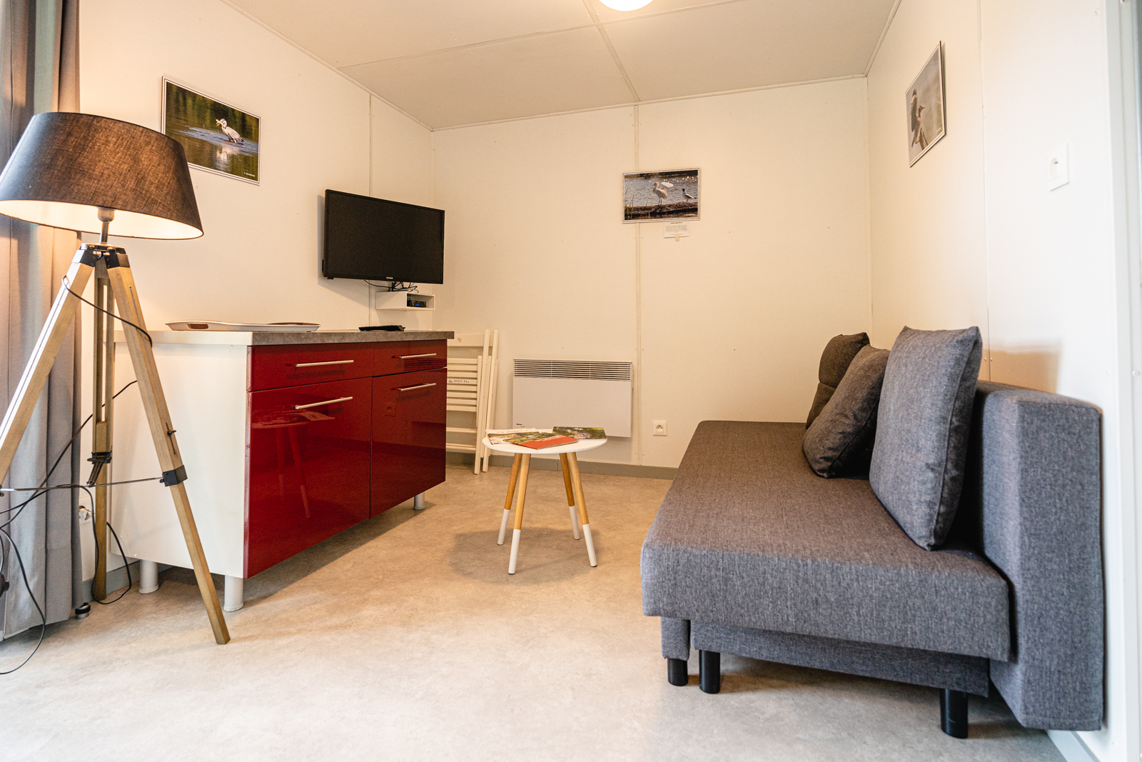 Le Pic Épeiche, Saulgé - photo 5