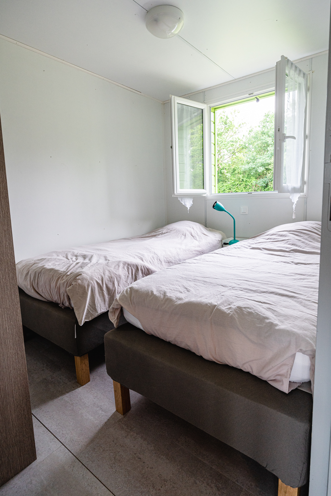 Le Pic Épeiche, Saulgé