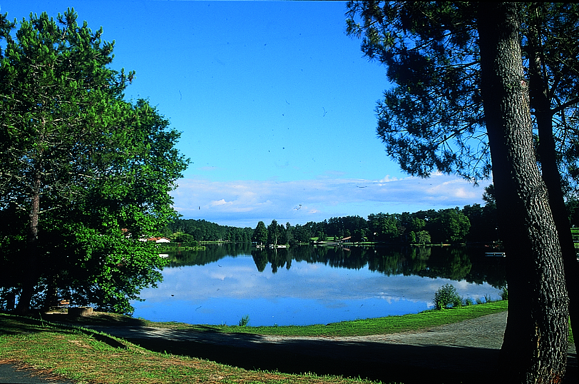 Studios-hôtel Les Acacias - photo 4