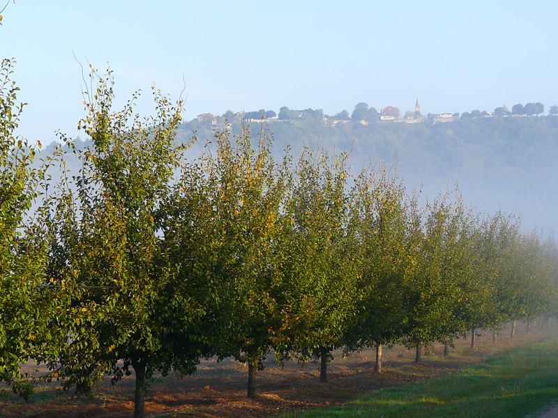 Ferme et Musée du Pruneau - aire de stationnement - photo 4