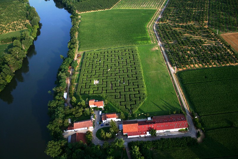 Ferme et Musée du Pruneau - aire de stationnement - photo 3