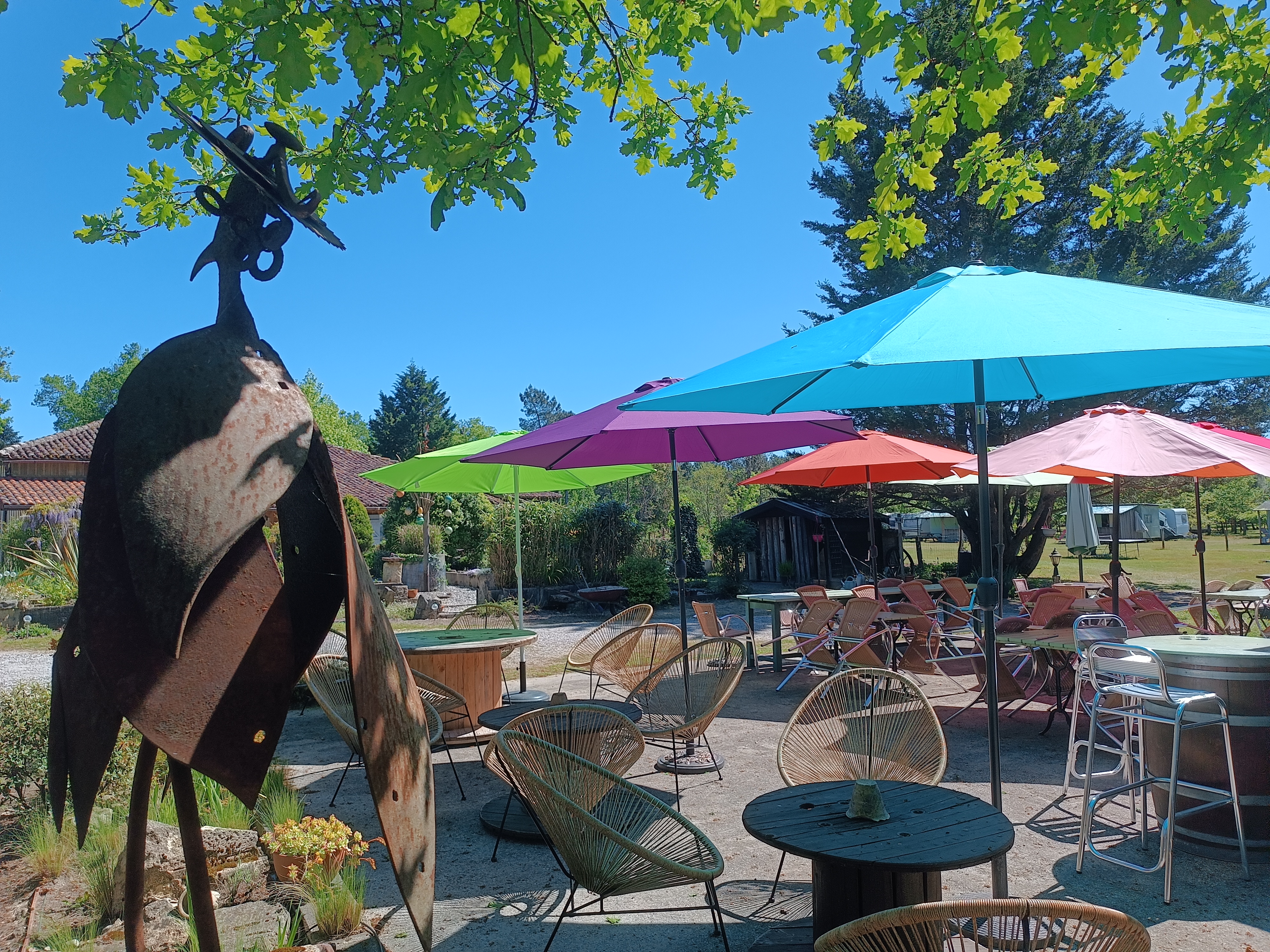 Les Platanes - photo 5