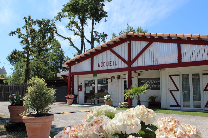 Camping Pleine Forêt