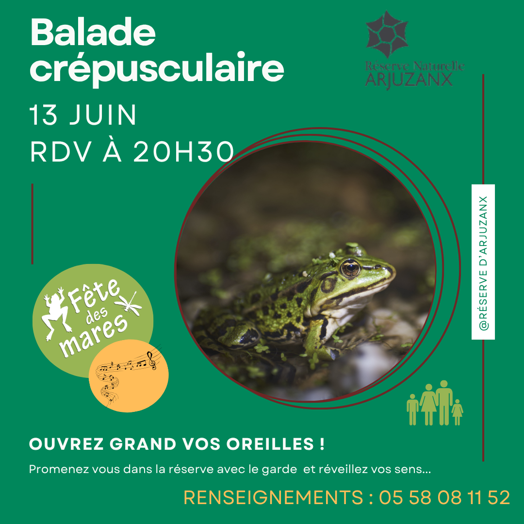 Rendez-vous nature : Fête des mares