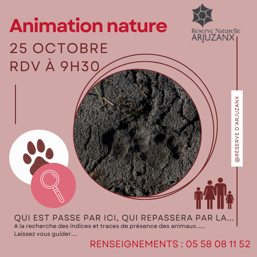 Il est passé par ici, Il repassera par là... — visuel événement