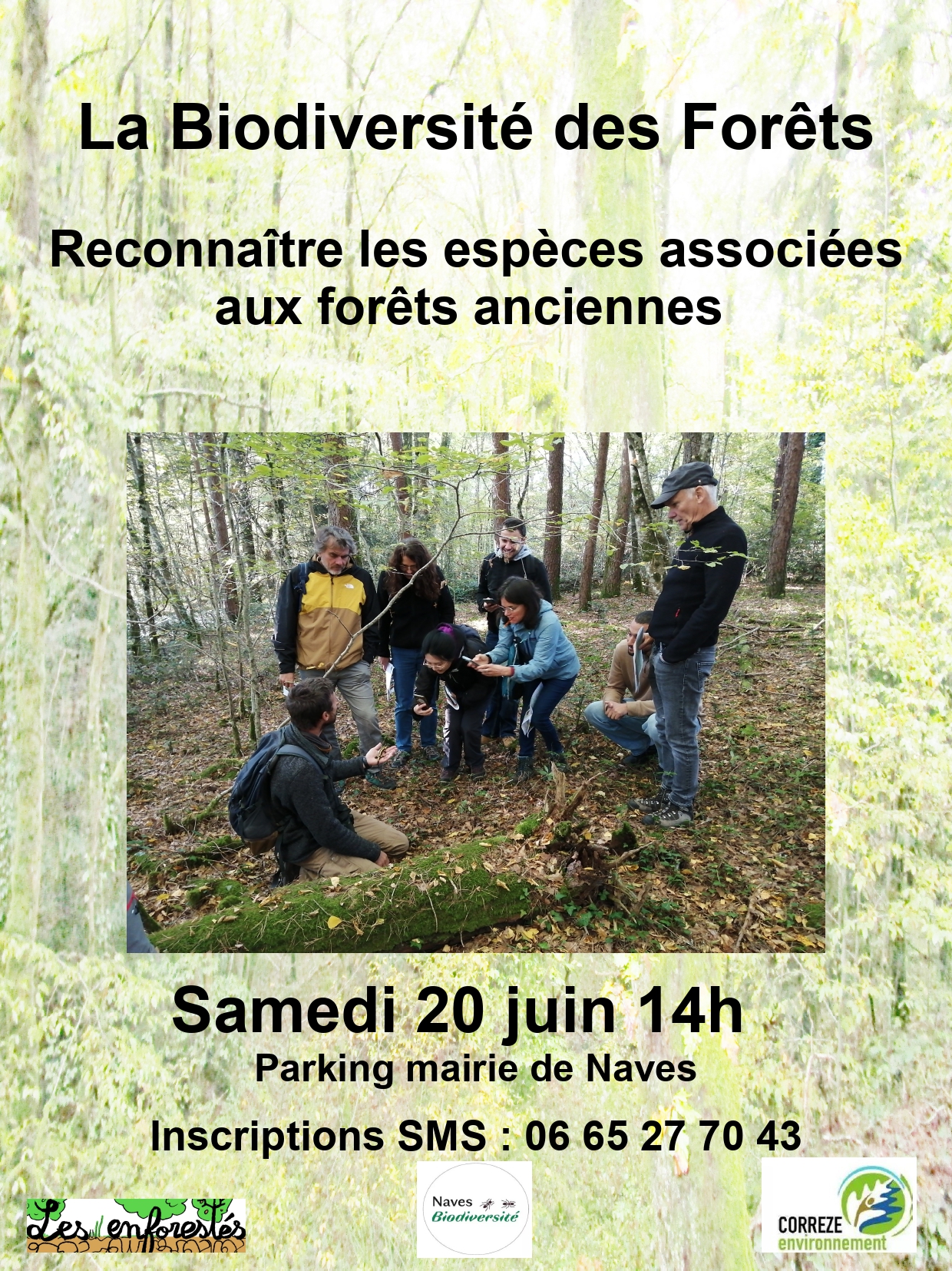 Balade : La biodiversité des forêts — visuel événement