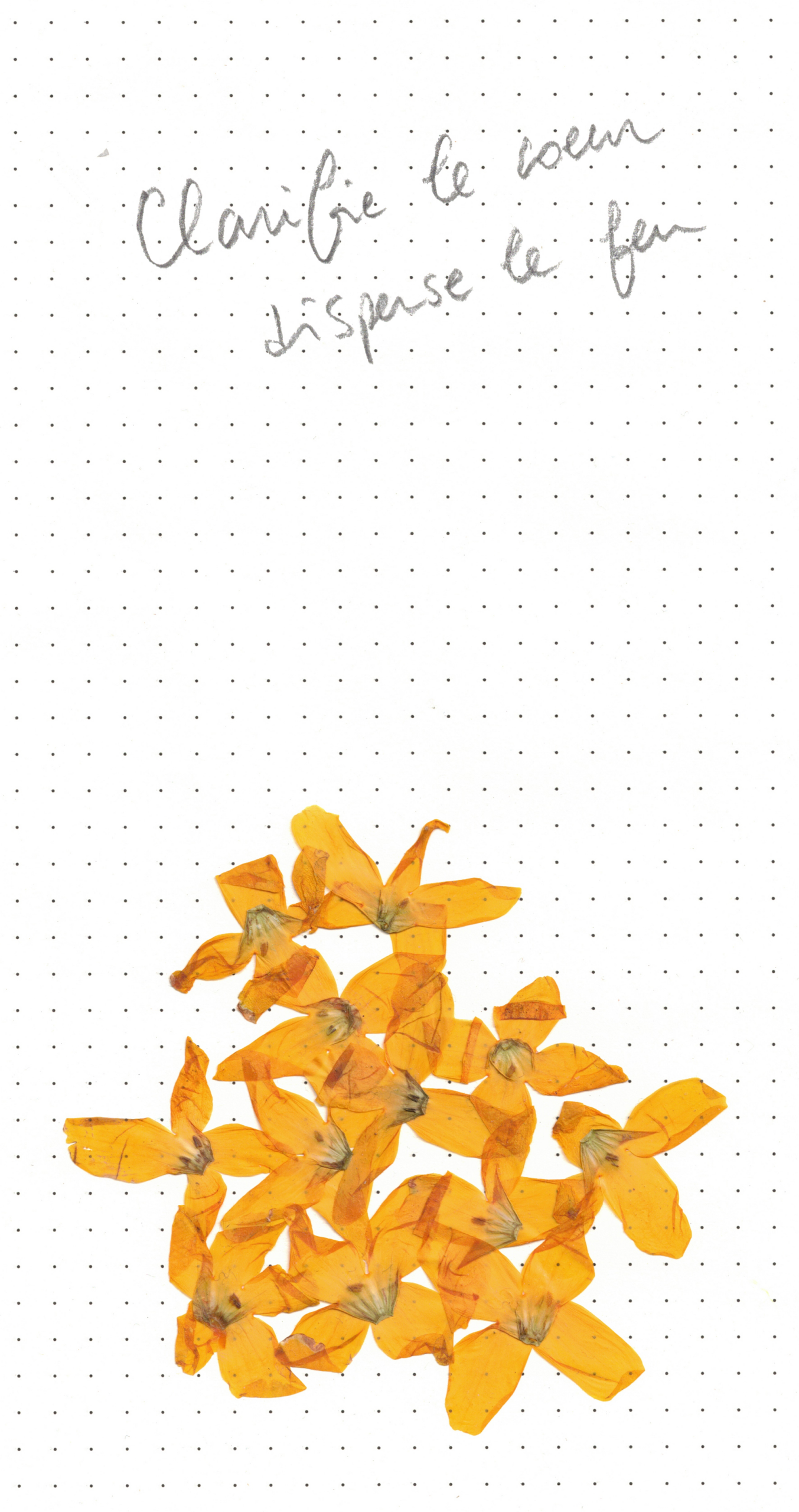Exposition DE Socheata CANTO-AING, CLARIFIE LE COEUR DISPERSE LE FEU