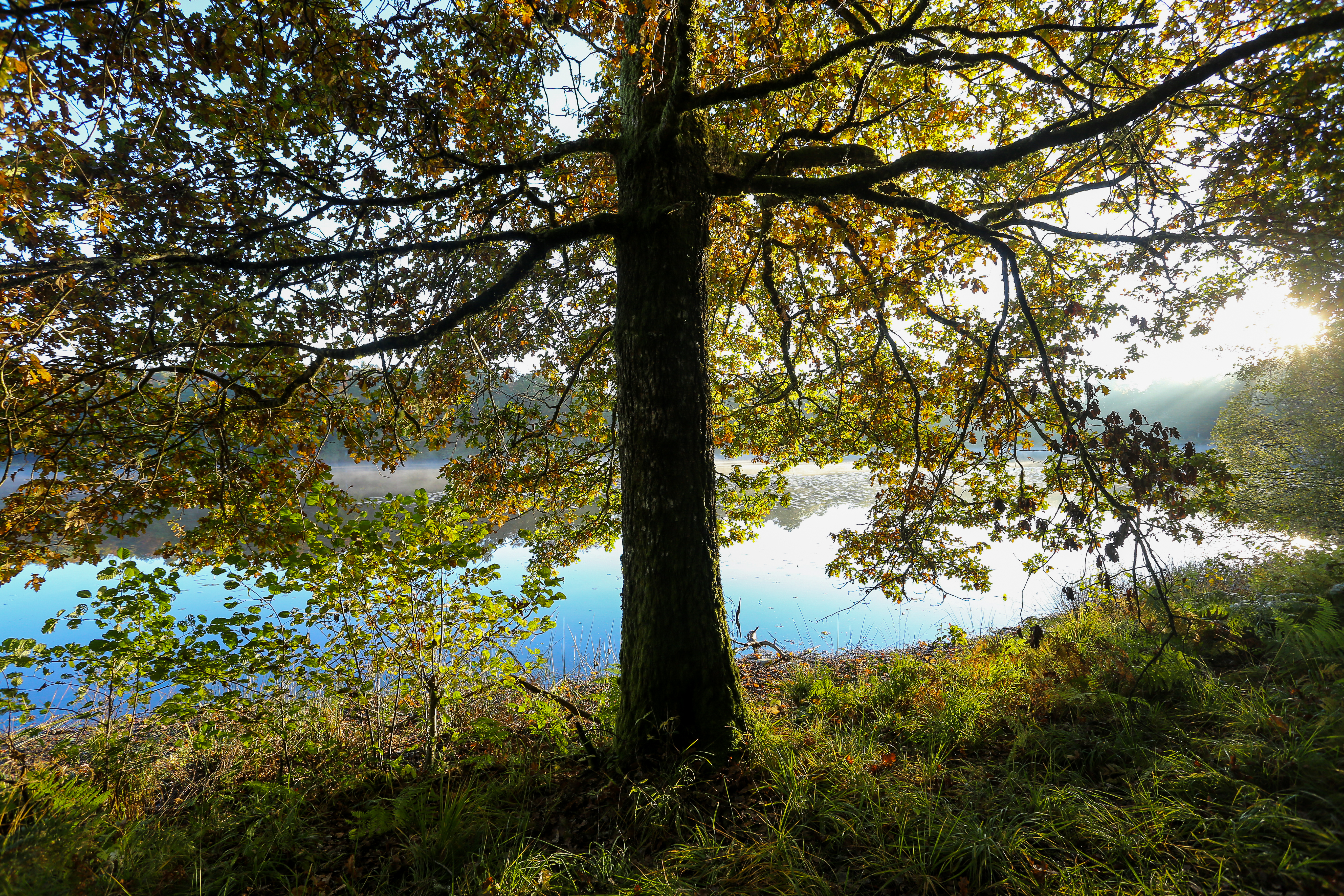 Les étangs du Doustre