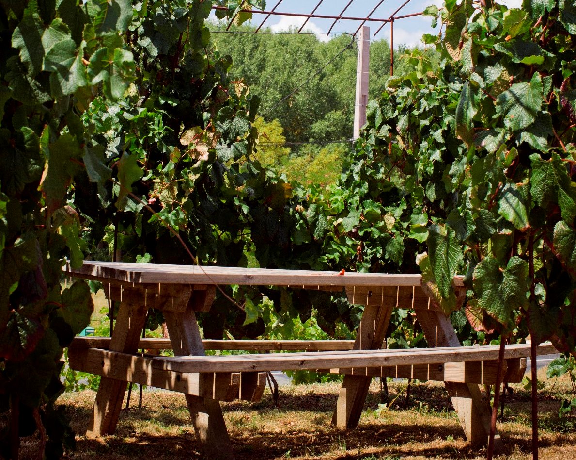 Aire de pique-nique à la Maison des Vins