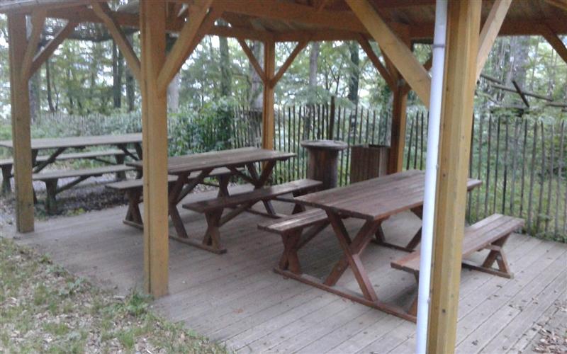 Aire de pique-nique Forêt Suspendue