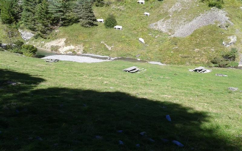 Aire de pique-nique Gourette