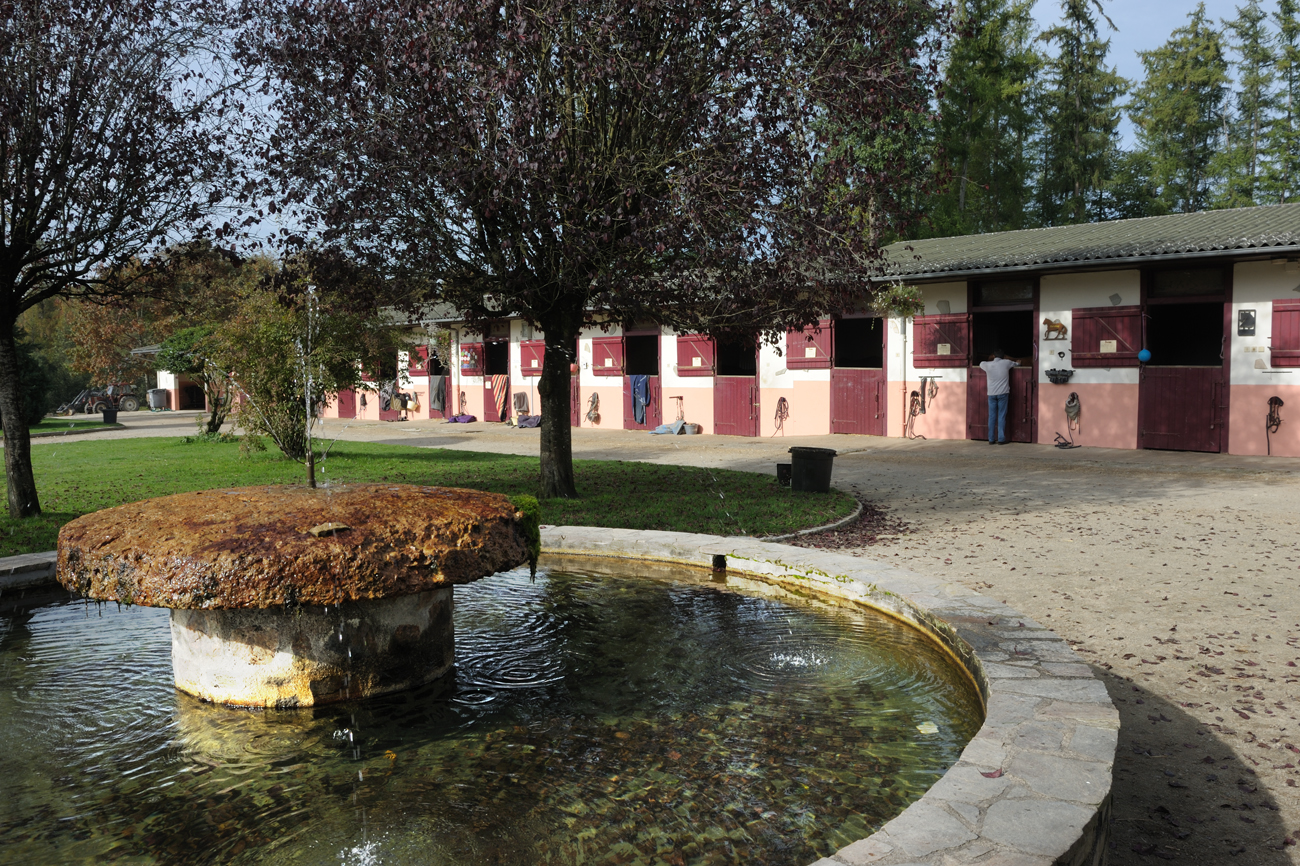 Centre équestre - Domaine du Muret