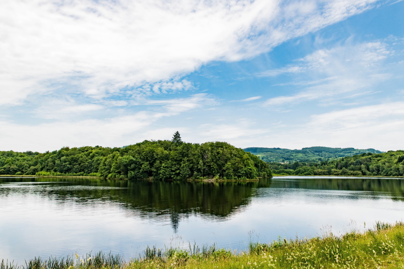Base VTT FFC des Monts du Limousin - Circuit 7 Tour d’étang