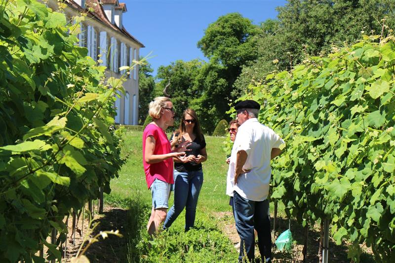Aire du Château de Crouseilles