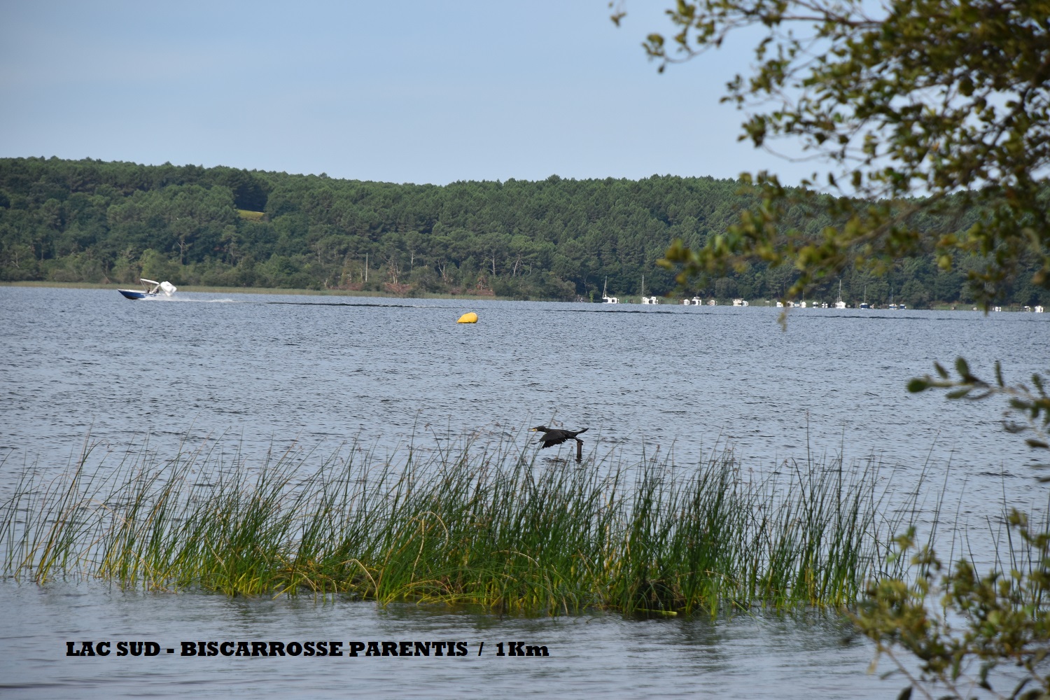 Appartement bien situé, calme et reposant, Biscarrosse - photo 22