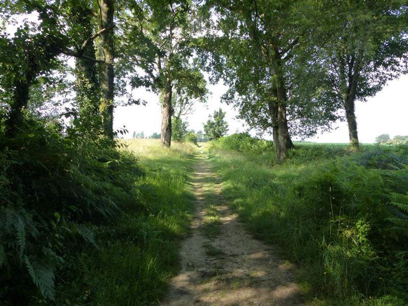 Arzacq : Saint-Jacques de Compostelle à VTT