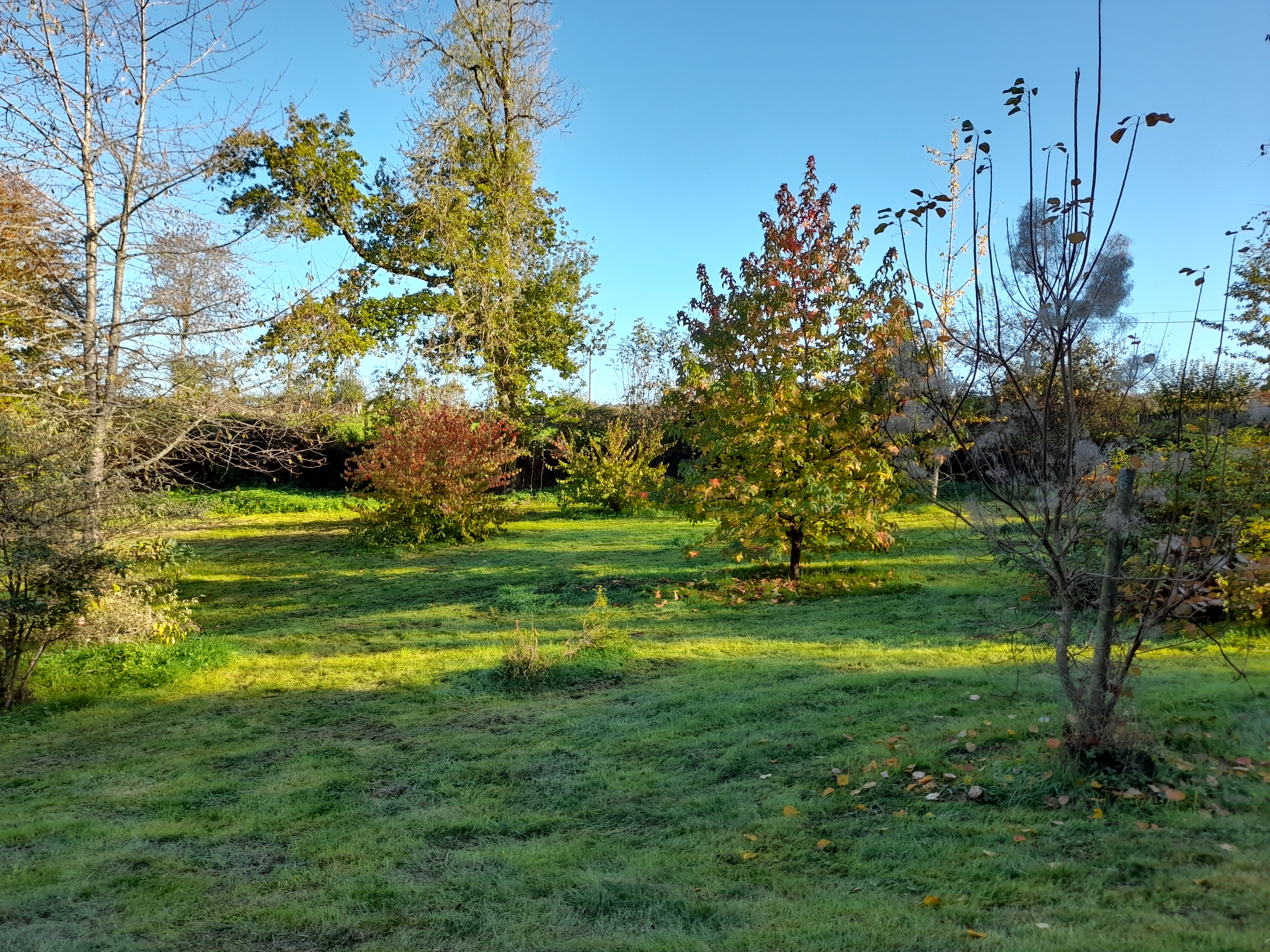 Arboretum du Lys, Champagnat - photo 3