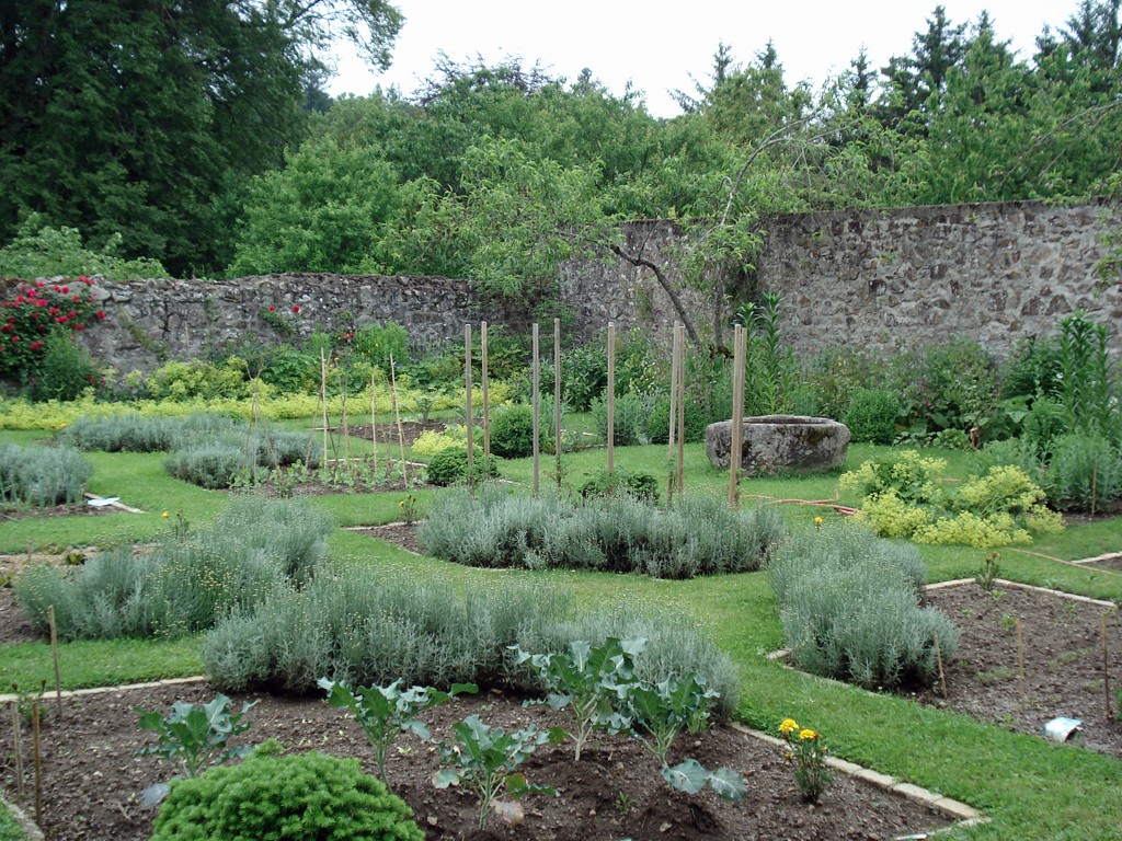 Arboretum du château de Neuvic d'Ussel, Neuvic - photo 2