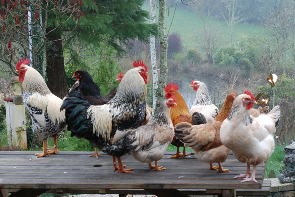 Arboretum de La Tuillière, Ayen - photo 3