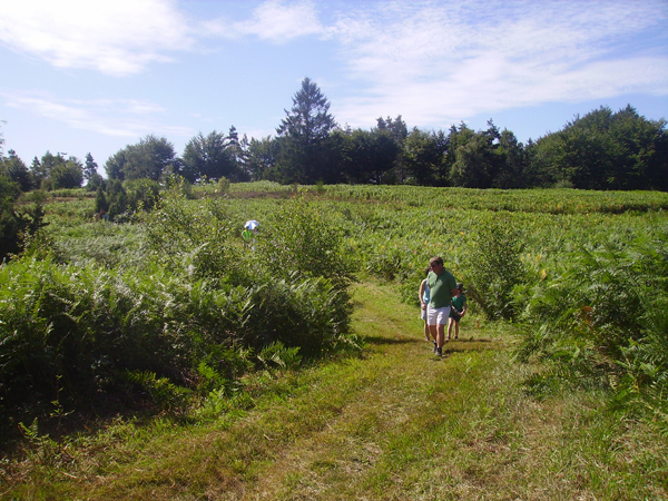 Arboretum du massif des Agriers, Lamazière-Haute - photo 2