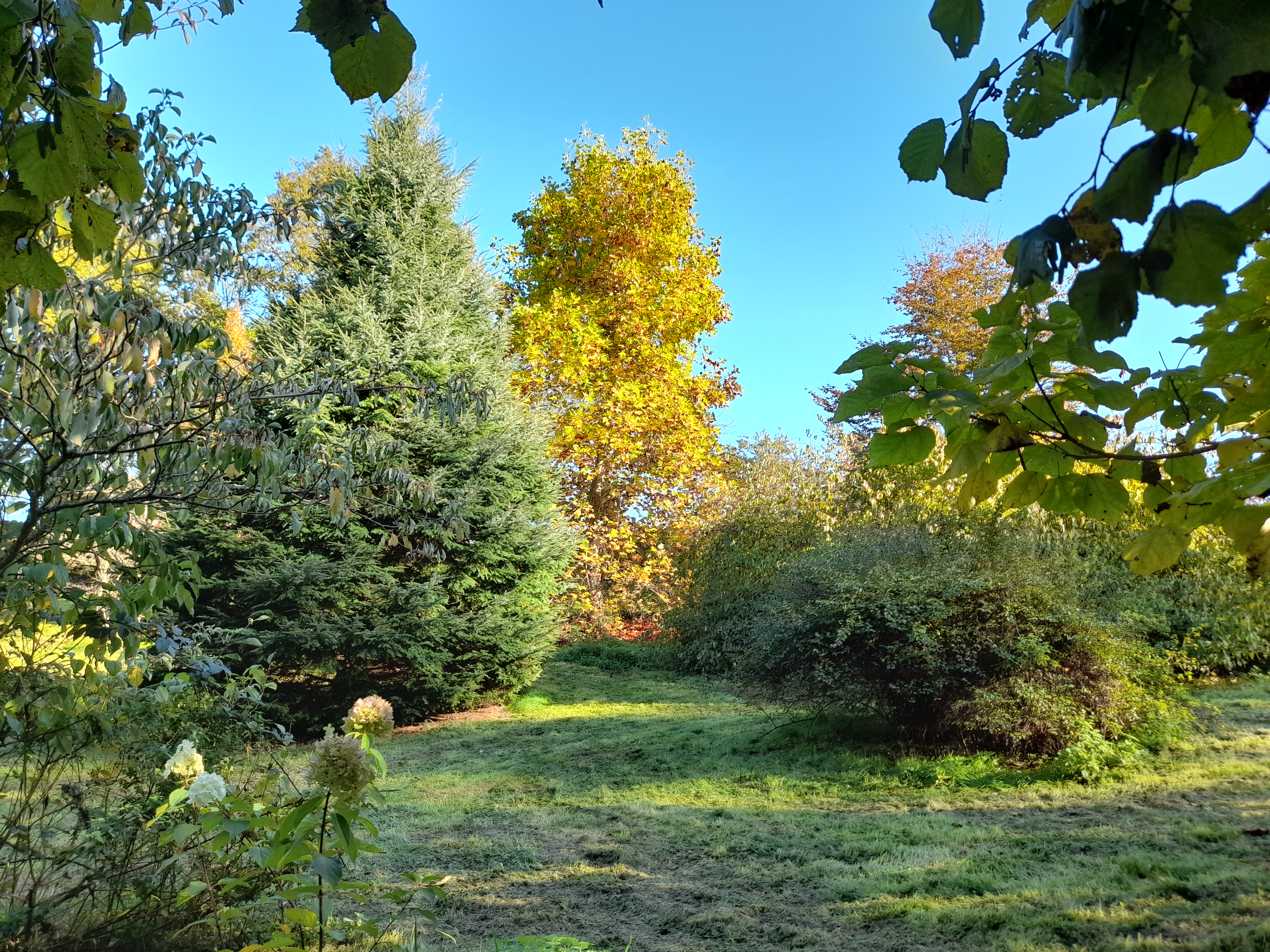 Arboretum du Lys, Champagnat - photo 2