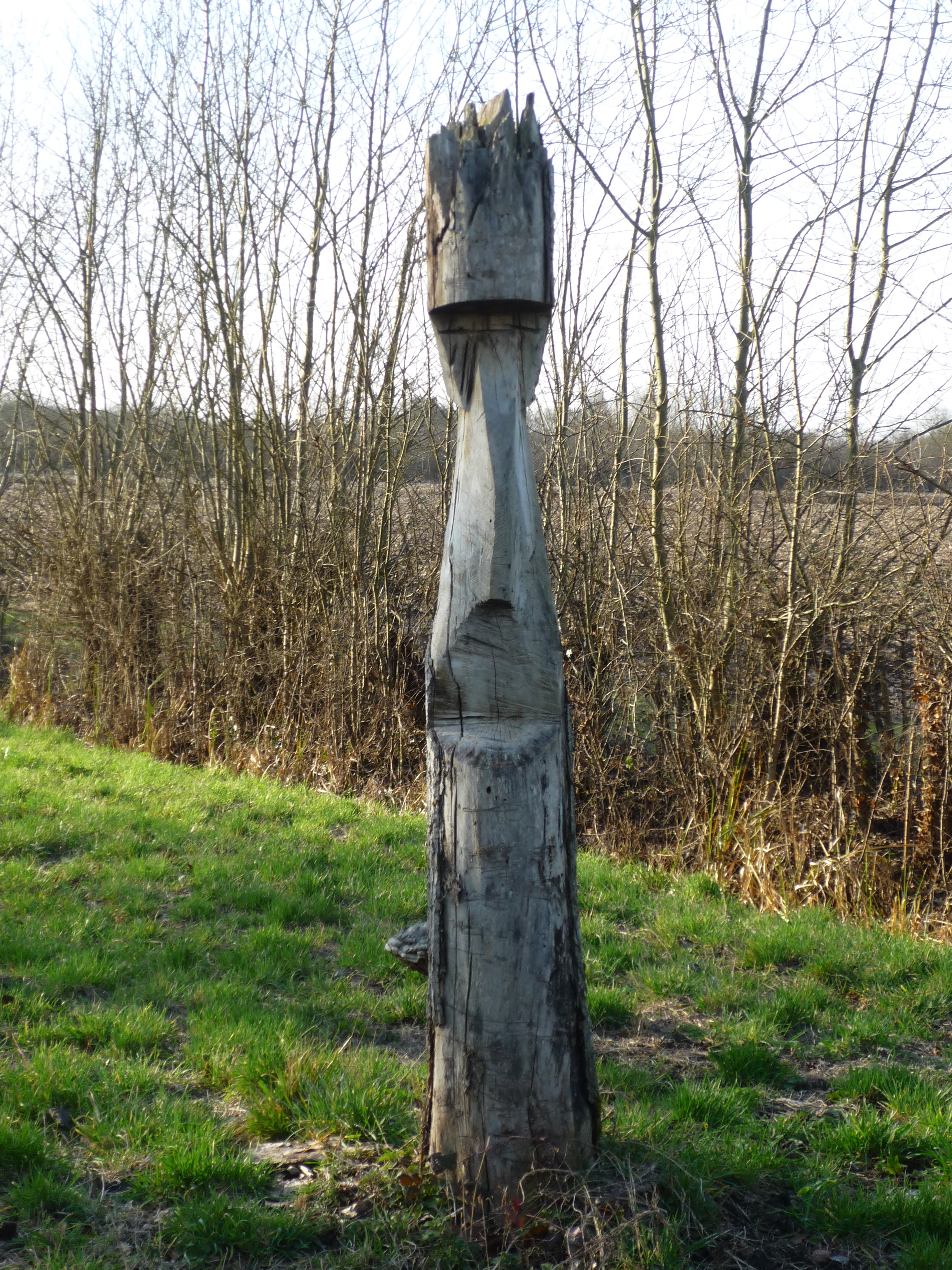 Marais de Saint-Georges-de-Rex et d’Amuré