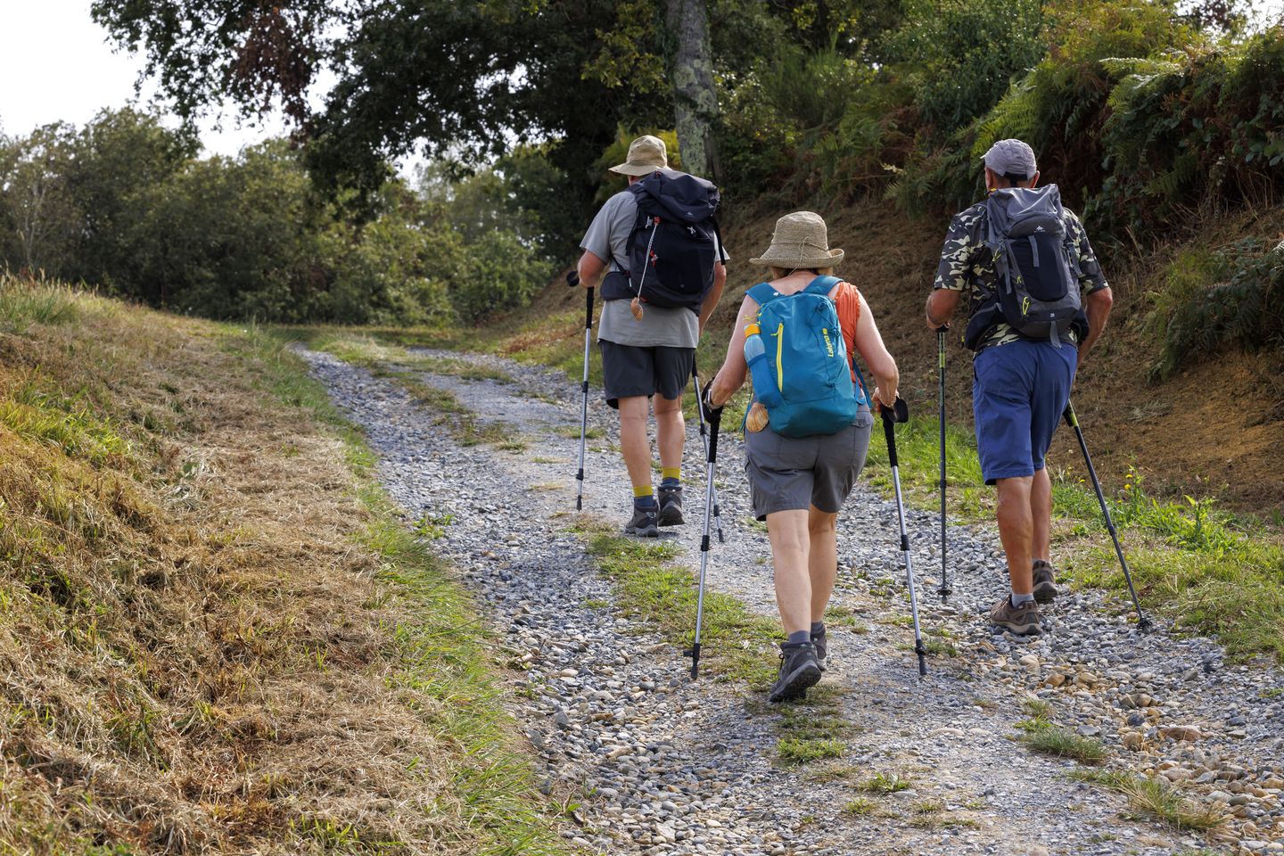 Arzacq-Arraziguet : tour du lac - photo 4