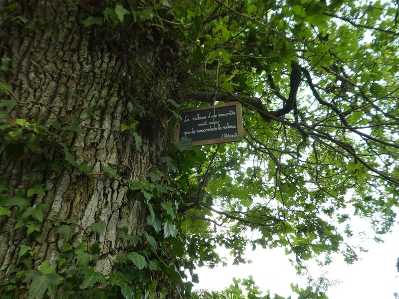 Arzacq : Saint-Jacques de Compostelle à VTT