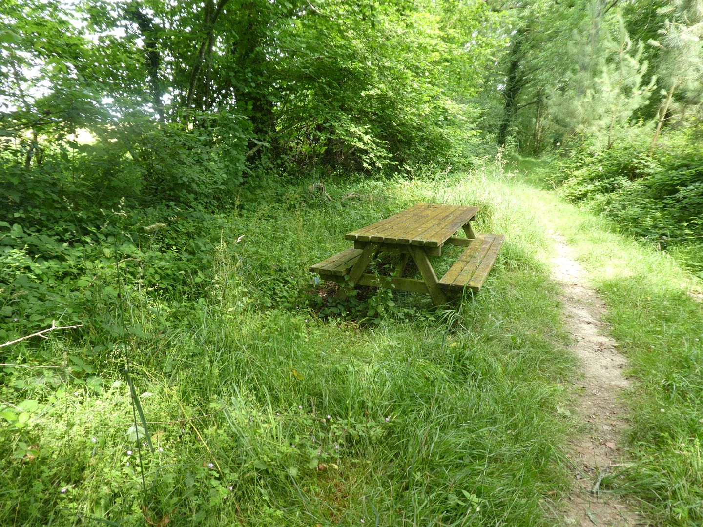 Arzacq-Arraziguet : de la bastide à la forêt à VTT - photo 3
