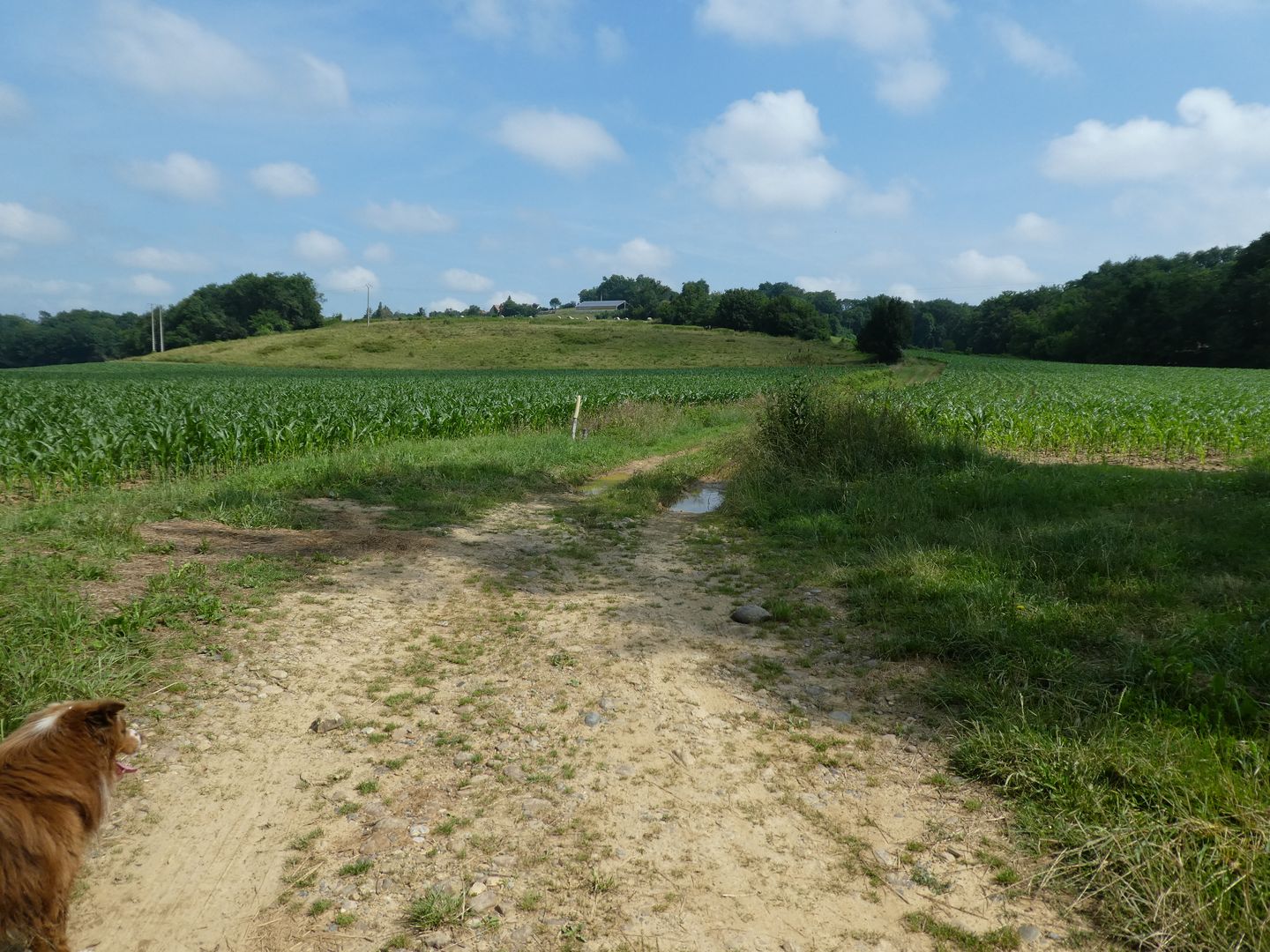 Arzacq-Arraziguet : Saint-Jacques de Compostelle, Arzacq-Arraziguet - photo 2