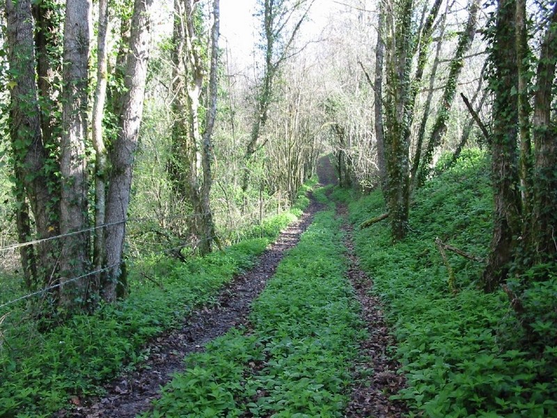 Site VTT-FFC  Entre Lot et Garonne