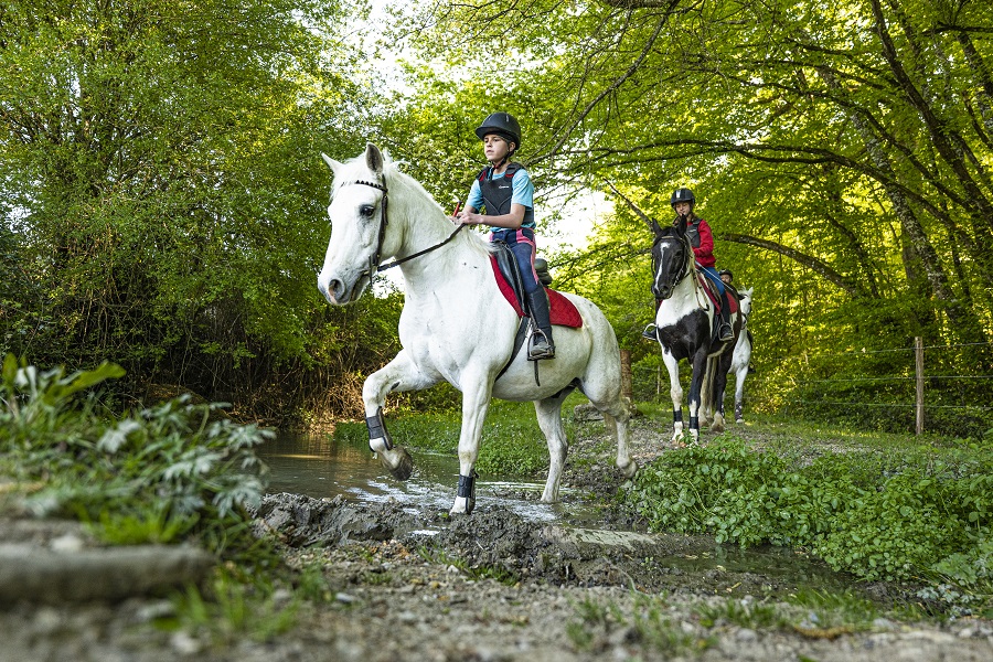 Ranch du Bel Air - photo 5