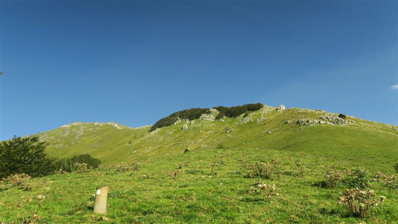 N°18 Trail d'Ourdinse