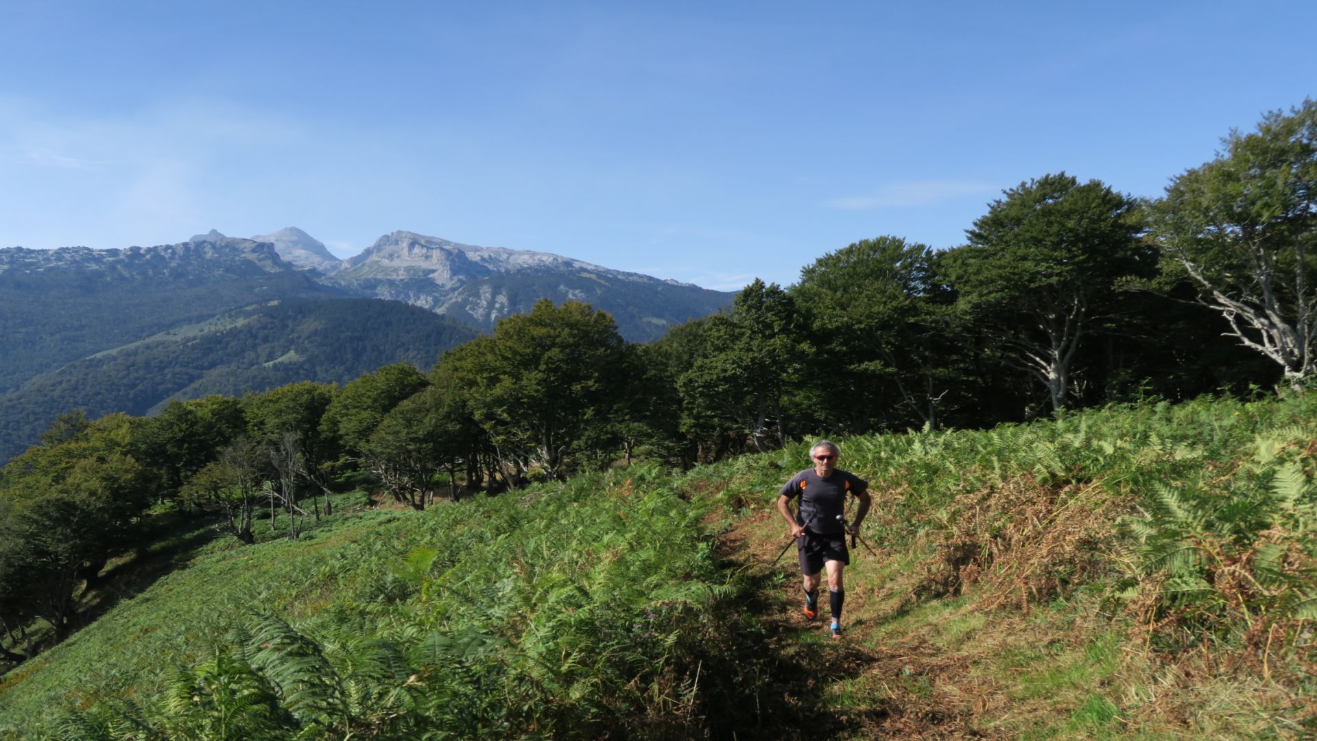N°36 Trail du Layens par Pirait, Osse-en-Aspe - photo 4