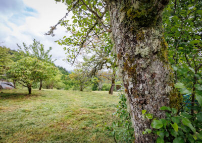 Le chapelier de Saint Bonnet Elvert, Saint-Bonnet-Elvert - photo 4
