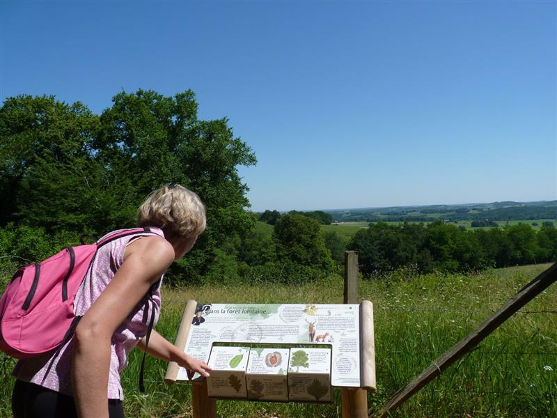 Aydie, au cœur du vignoble