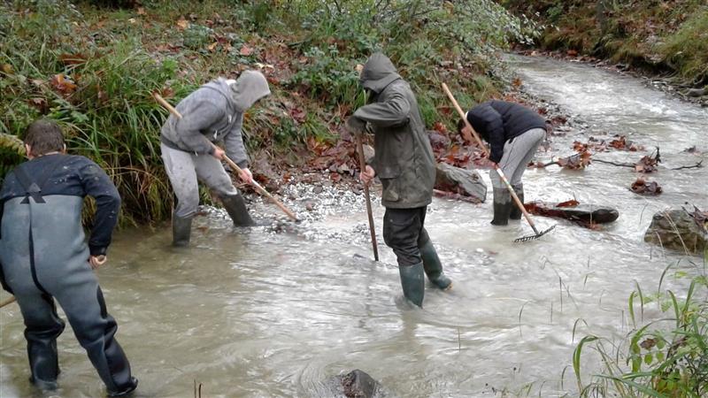 Association de pêche et de protection des milieux aquatiques 