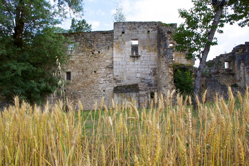 Abbaye de Boschaud, Villars - photo 11