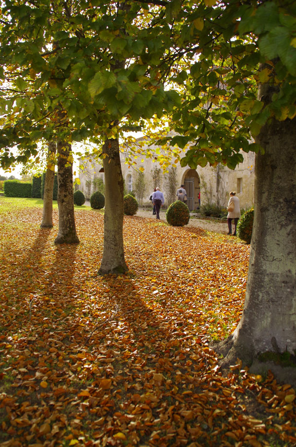 Château d'Abzac, Abzac - photo 3