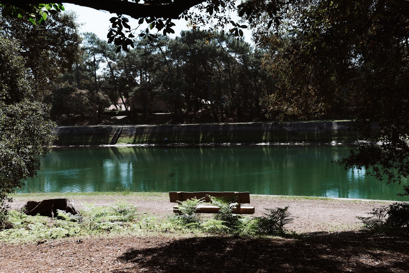 Hôtel Les Fougères - Hossegor