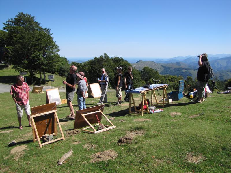 Col d'Organbidexka : observation des oiseaux