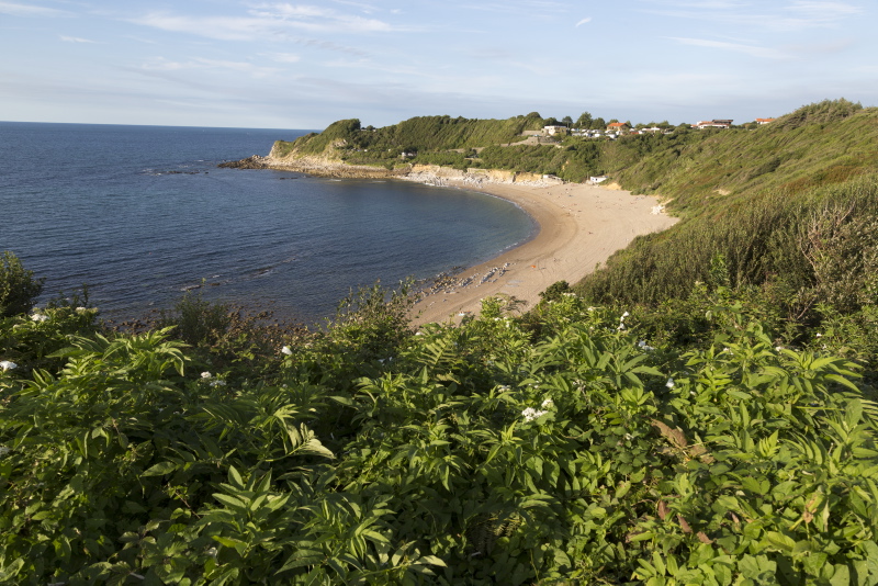 Plage de Lafiténia