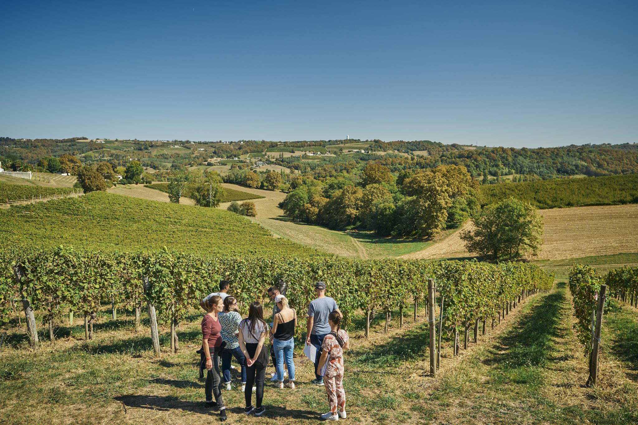 Tyroliennes au Domaine Capdevielle - photo 3