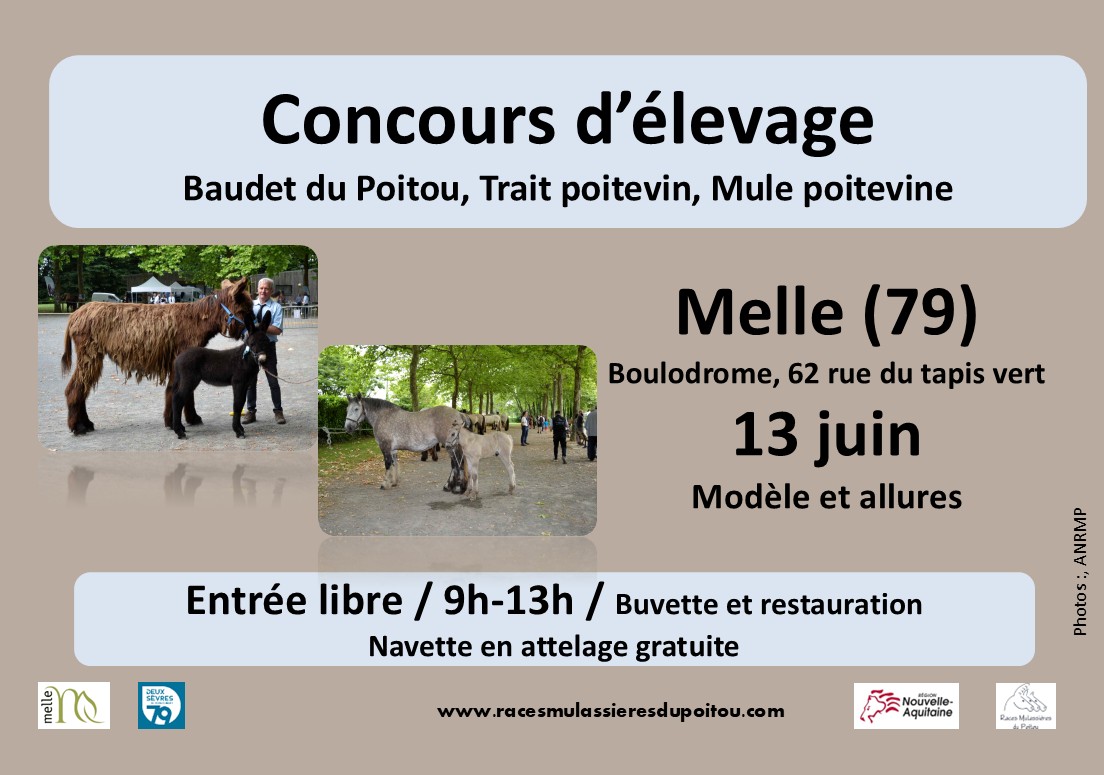 Concours départemental races mulassières du Poitou de Melle — visuel événement